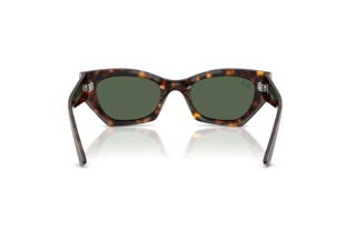 Rear view Ray-Ban ZENA (RB4430 - 135971)