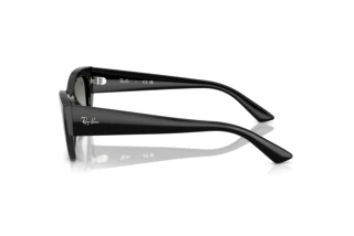Side view Ray-Ban ZENA (RB4430 - 667711)