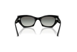 Rear view Ray-Ban ZENA (RB4430 - 667711)