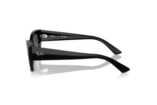 Side view Ray-Ban ZENA (RB4430 - 667787)