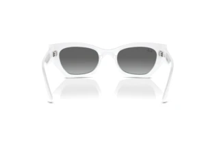 Rear view Ray-Ban ZENA (RB4430 - 675911)