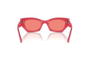 Rear view Ray-Ban ZENA (RB4430 - 676084)