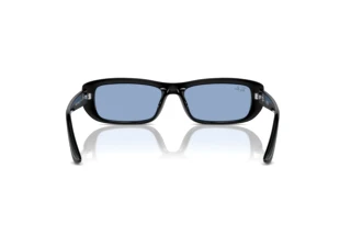 Rear view Ray-Ban RB4436D (667772)