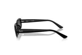 Side view Ray-Ban RB4436D (667787)