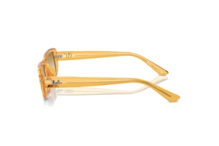 Side view Ray-Ban RB4436D (668213)