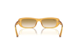 Rear view Ray-Ban RB4436D (668213)