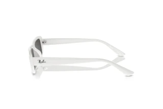 Side view Ray-Ban RB4436D (677287)
