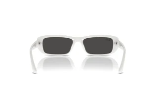 Rear view Ray-Ban RB4436D (677287)