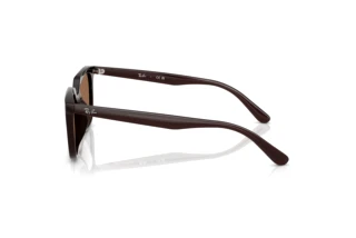 Side view Ray-Ban RB4439D (623173)