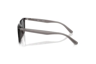 Side view Ray-Ban RB4439D (667587)