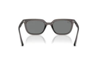 Rear view Ray-Ban RB4439D (667587)
