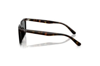 Side view Ray-Ban RB4439D (710/87)
