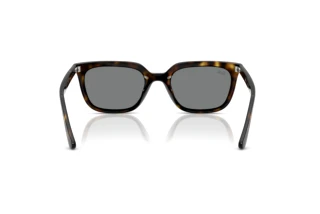 Rear view Ray-Ban RB4439D (710/87)