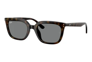 Front view Ray-Ban RB4439D (710/87)