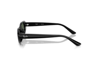 Side view Ray-Ban RB4441D (667771)