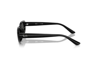 Side view Ray-Ban RB4441D (667787)