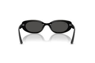 Rear view Ray-Ban RB4441D (667787)