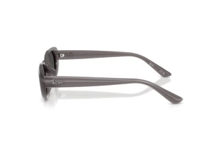 Side view Ray-Ban RB4441D (677787)