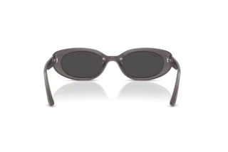 Rear view Ray-Ban RB4441D (677787)