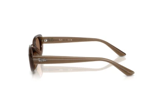 Side view Ray-Ban RB4441D (677973)