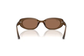 Rear view Ray-Ban RB4441D (677973)
