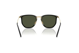 Rear view Ray-Ban RB4451 (630631)