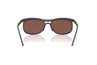 Rear view Ray-Ban RB4452CH (60171A)
