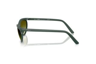 Side view Ray-Ban RB4453 (6016E8)