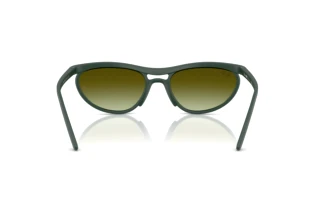 Rear view Ray-Ban RB4453 (6016E8)