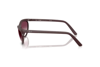 Side view Ray-Ban RB4453 (64458H)