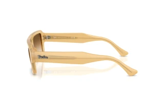 Side view Ray-Ban FLACKO (RB4454 - 680651)