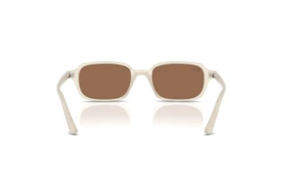 Rear view Ray-Ban ZURI (RB4455 - 680873)