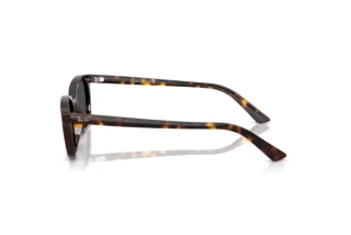 Side view Ray-Ban ZAYA (RB4456 - 135987)