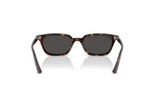 Rear view Ray-Ban ZAYA (RB4456 - 135987)