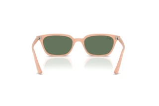 Rear view Ray-Ban ZAYA (RB4456 - 681182)