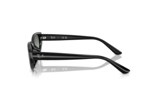 Side view Ray-Ban RB4457D (667711)