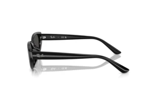 Side view Ray-Ban RB4457D (667787)
