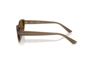 Side view Ray-Ban RB4457D (677983)