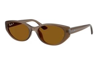 Front view Ray-Ban RB4457D (677983)