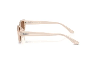 Side view Ray-Ban RB4457D (678673)