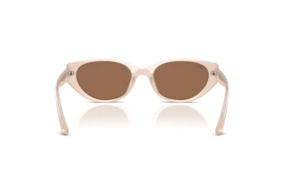 Rear view Ray-Ban RB4457D (678673)