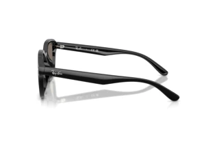 Side view Ray-Ban RB4458D (601/6V)