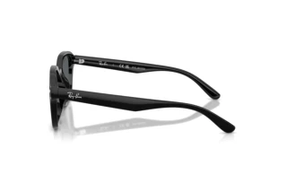 Side view Ray-Ban RB4458D (601/81)