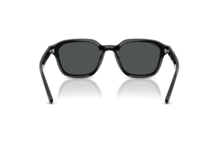 Rear view Ray-Ban RB4458D (601/87)