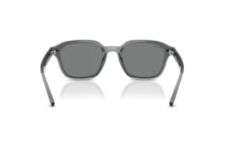 Rear view Ray-Ban RB4458D (645087)