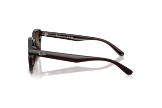 Side view Ray-Ban RB4458D (714/13)