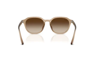 Rear view Ray-Ban RB4459D (616613)