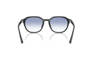 Rear view Ray-Ban RB4459D (623019)