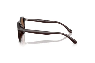 Side view Ray-Ban RB4459D (623173)