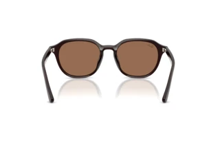Rear view Ray-Ban RB4459D (623173)
